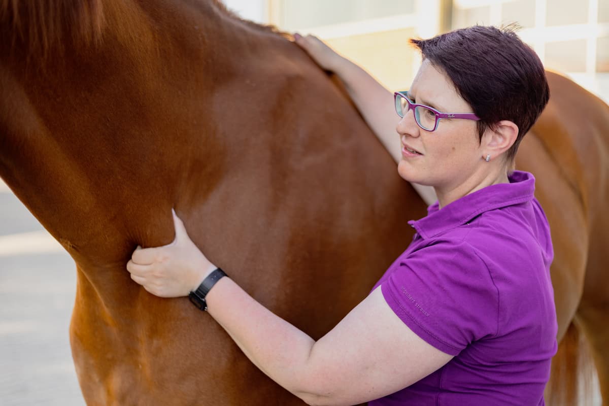 Behandlung Pferd Kerstin Deters massiert ein Pferd in Halsnähe, in dier Physiotherapie in Schleswig-Holstein