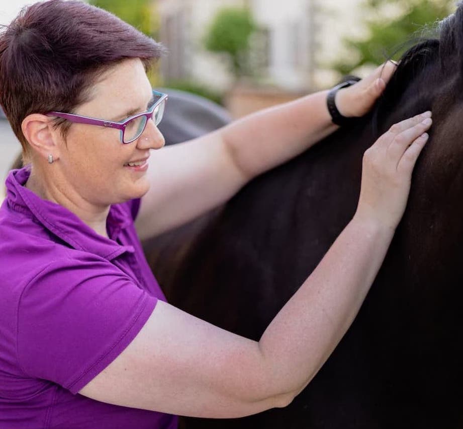 Kerstin Deterts massiert ein Pferd in der Pferdephysiotherapie in Schleswig-Holstein