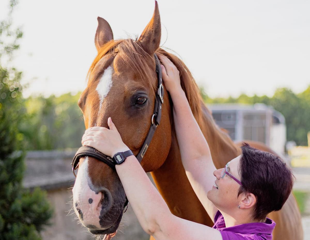 Pferdephysiotherapeutin Kerstin Deters behandelt ein Pferd