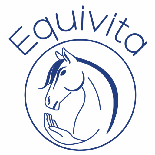 Equivita Logo in blau
