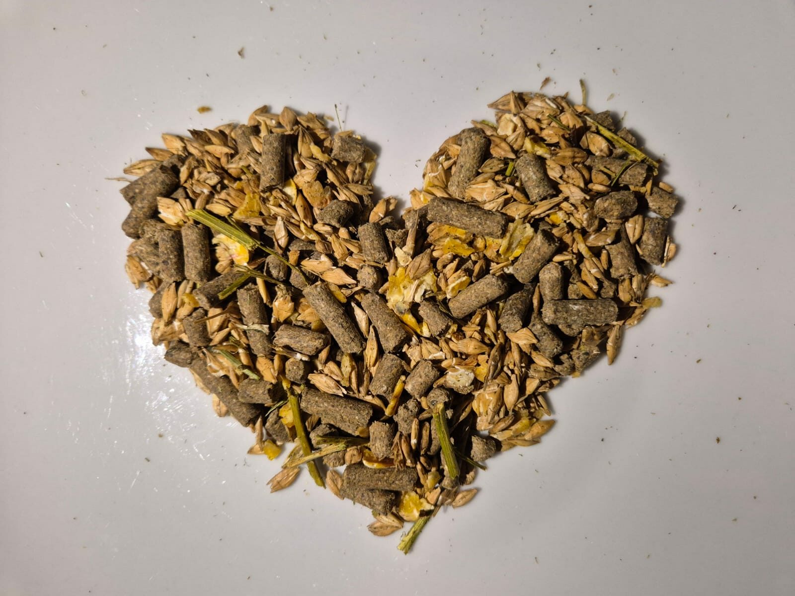 Platzhalter mit Equivita Logo